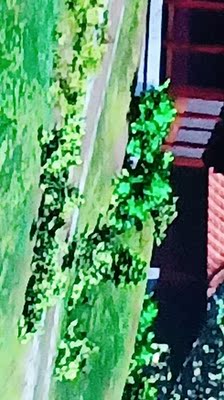 纠结酷开55K6N与创维55M7S哪个好用？有区别吗？