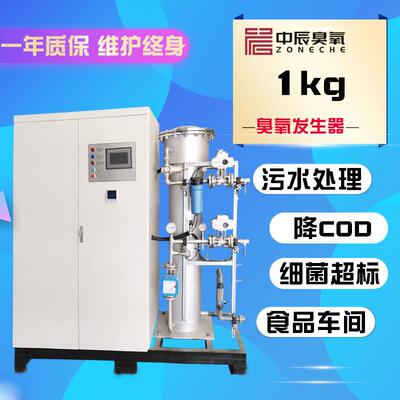 中辰1kg臭氧发生器大型食品厂污水处理厂制药医疗生活废水消毒杀