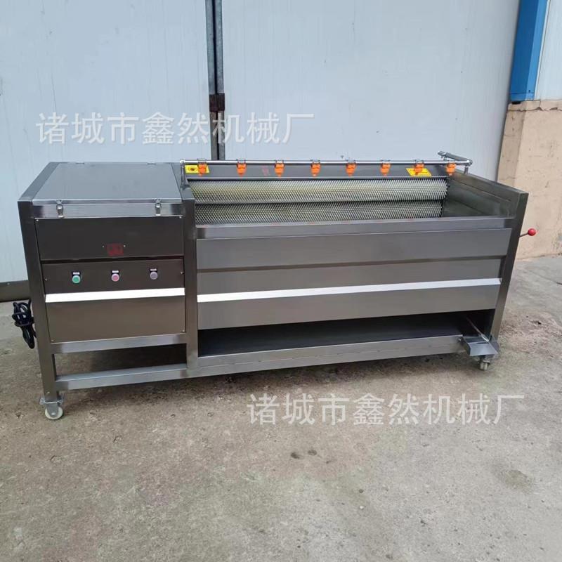 全自动土豆去皮清洗机胡萝卜毛辊清洗设备莲藕去皮清洗机