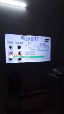 良心评测海信HZ65E52A和长虹65A4U哪个好用点？区别有吗？