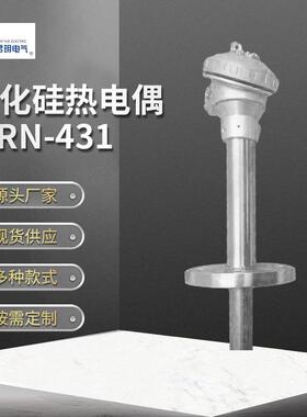 度仪温控热电阻碳化硅热电偶WRN-431金温属测温仪高表精度