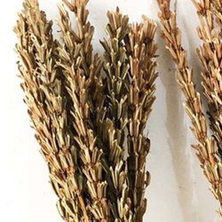 芝麻杆子干枝秸秆梗搬家乔迁新居用品芝麻开花节节高喜庆装饰道具