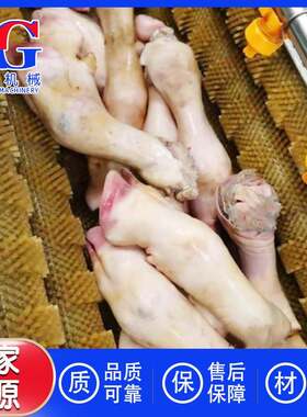 烧毛后猪蹄子清洗杂质机器 滚刷式猪头肉清洗机 牛蹄子毛滚清洗机