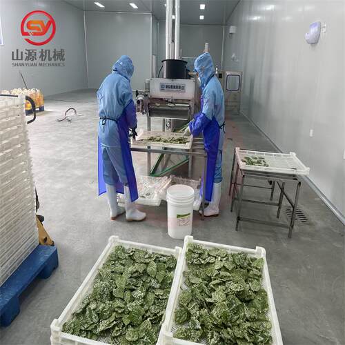 预制菜香酥翠叶油炸生产线 桑叶清洗风干线 翠叶整套生产线厂家