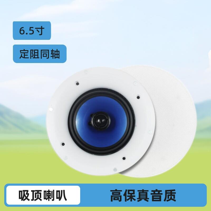天籁6.5寸嵌入天花定阻同轴白色两分频吸顶喇叭音箱家用商用jx618