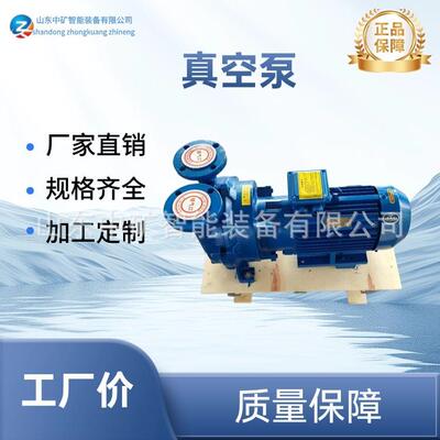 2BV水环式真空泵工业用抽气泵 真空泵 雕刻机压缩机水循环泵