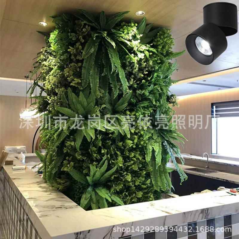 LED长植物阳补光灯室PSO内小太阳生灯全光卉谱绿植花盆栽鱼缸仿太