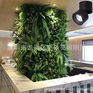L植ED植物补光灯长室内阳小太阳生灯全光谱IYU绿花卉盆栽鱼缸仿太