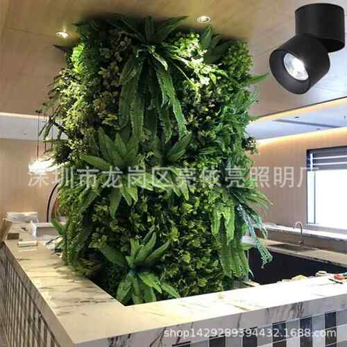 L植ED植物补光灯长室内阳小太阳生灯全光谱IYU绿花卉盆栽鱼缸仿太