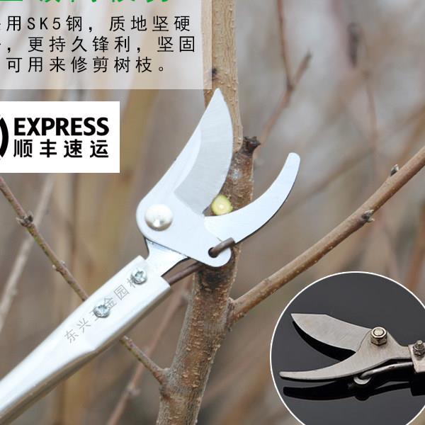进口园林高枝剪修枝剪不锈钢剪刀修树剪疏花稀果剪高空剪修花剪刀