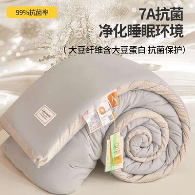 A类水FXP洗母棉棉被大维被二豆合一子被加厚纤冬被立体拼边被芯被