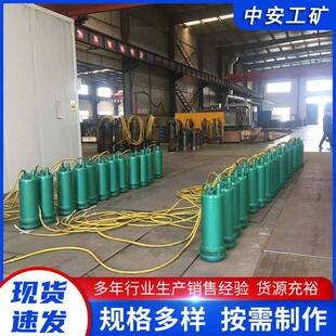 BQS50 120 排沙泵 煤矿井下用隔爆型潜水排沙泵