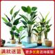 北欧彷真植物盆栽旅人蕉龟背叶热带落地阔叶室内彷真绿植盆景摆设