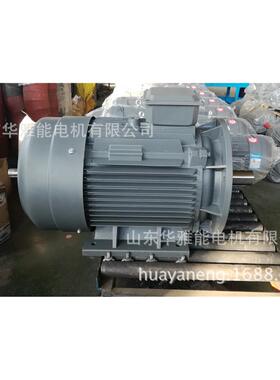 YVP-355L1-4-280电机替代南阳微特YVP电机喷底漆逆时针转向做标记