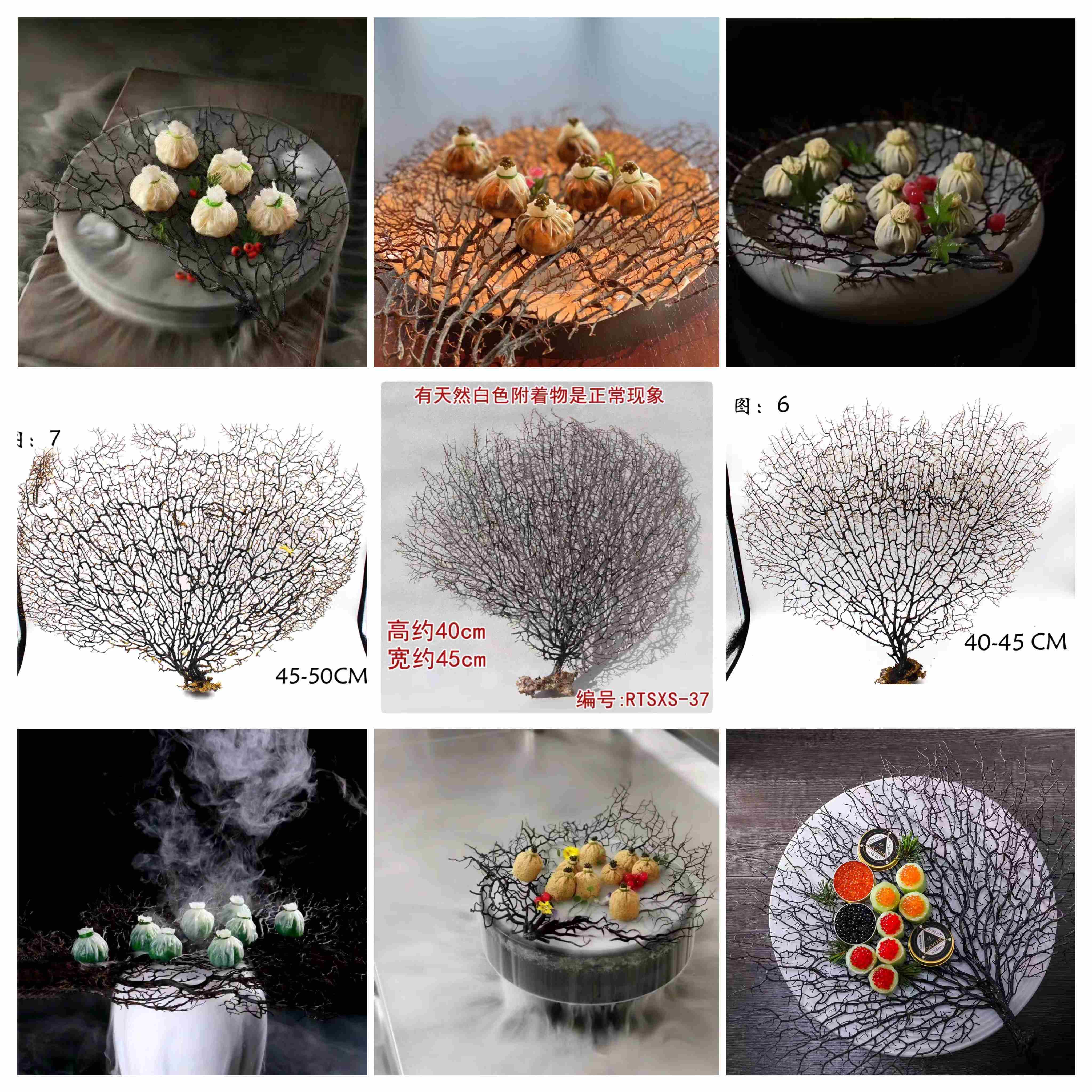 冷菜装饰天然珊瑚树意境真珊瑚海铁树酒店创意冷菜垫盘珊瑚枝装饰