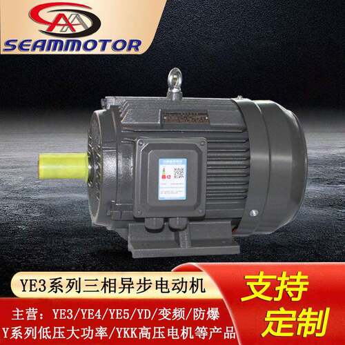 河北西玛电机定制生产YE3-2极3-355w380V高效三相异步电动机
