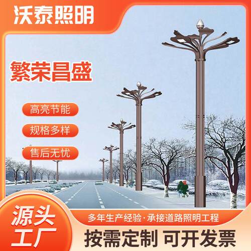 6-12米景观灯玉兰灯厂家直供led景观灯户外防水路灯市政路灯