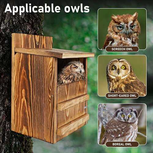 跨境亚马逊Screech Owl House手工制作的木制户外巢箱