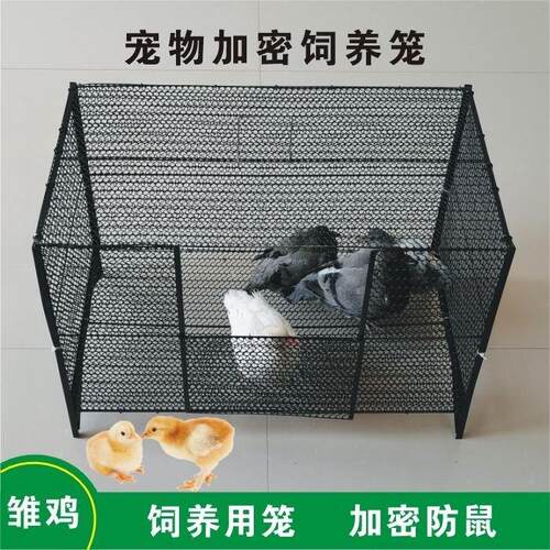 鸡笼小鸡笼子小鸭笼家用加密铁丝网养鸽子鹌鹑鸟芦丁鸡幼苗专用笼