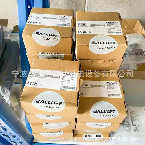 BALLUFF/巴鲁夫/BNS 819-FL-60-101-FD-S80R/限位开关BNS0008现货
