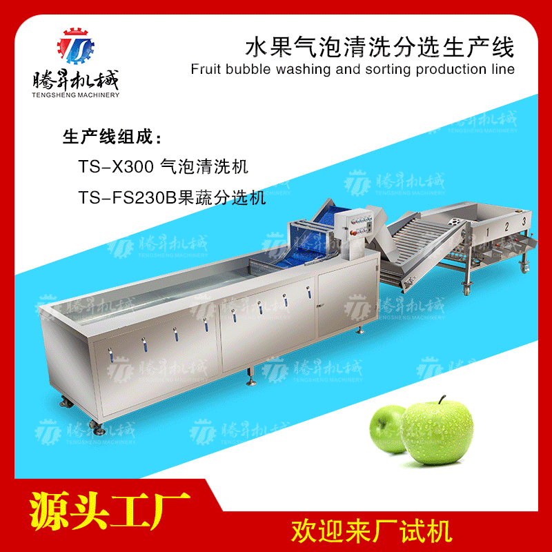 大型气泡清洗机 果类分级机 农场作业线 清洗分选线 可定规格