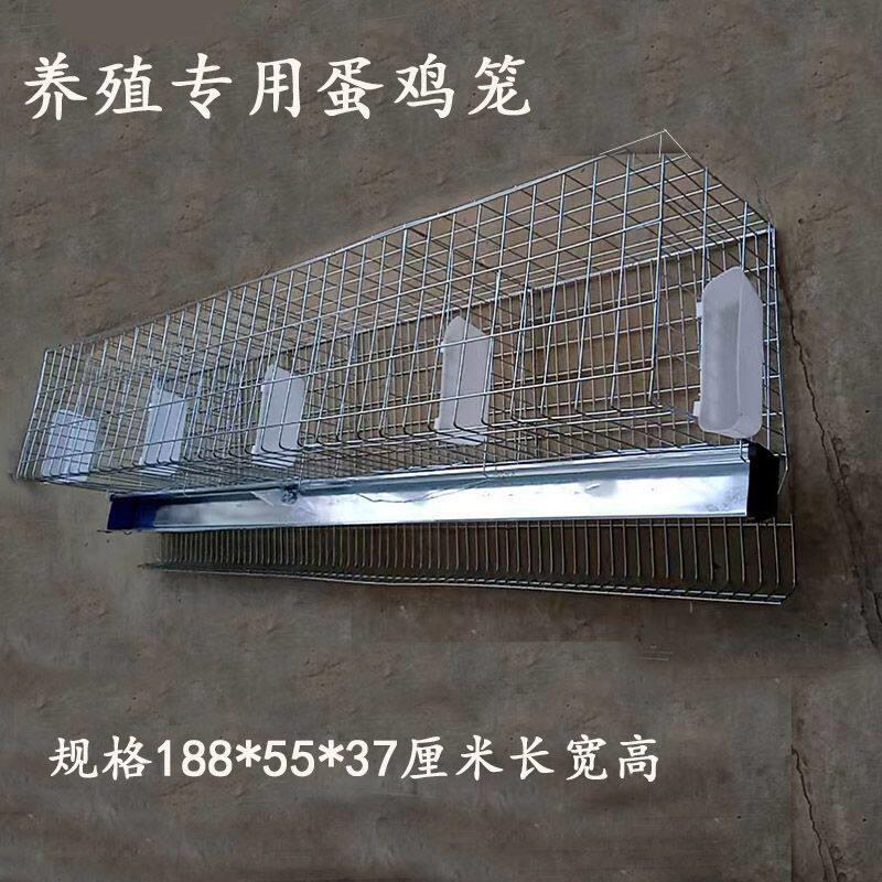 蛋鸡笼下蛋产蛋笼三层加粗鸡笼子养殖场专用自动滚蛋笼大号家用笼