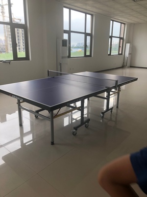 揭秘吐槽双鱼乒乓球桌怎么样有人刚入手又退掉为何?