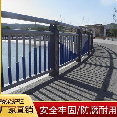 定制桥梁防撞护栏天桥立柱式隔离围栏公园栏杆河道景观灯光防护栏