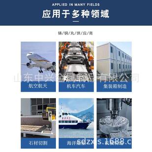 丸钢S-390~S-丸钢砂 厂钢丝丸不锈钢丸抛丸机钢砂抛切丸喷砂合金