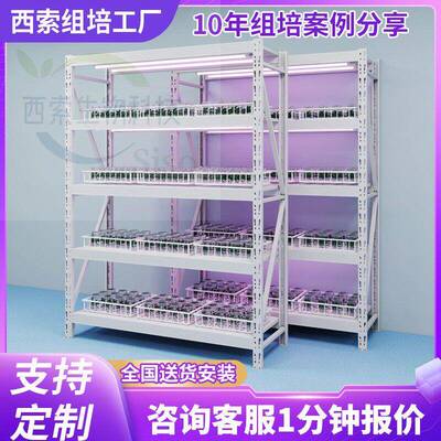 植物光照组培架实验室组培瓶不锈钢蔬菜育苗架组培灯培养架LEDT8