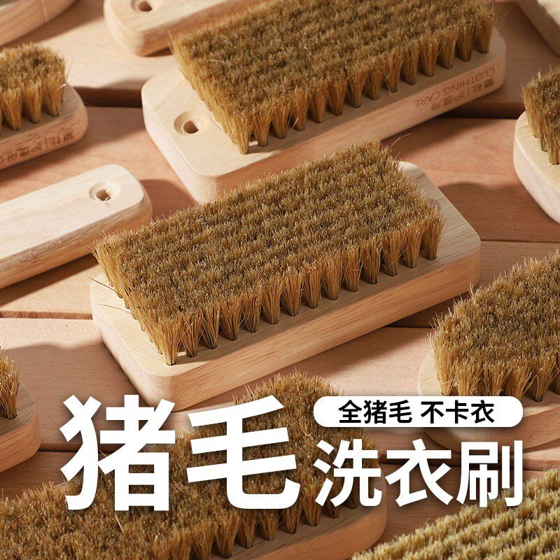 猪毛板刷洗鞋刷家用洗衣刷猪鬃毛专用刷子洗棉质衣服软毛刷不伤衣