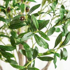 亚马逊大型仿真绿植可拆装橄榄树盆栽家居室内橱窗装饰摆件植物