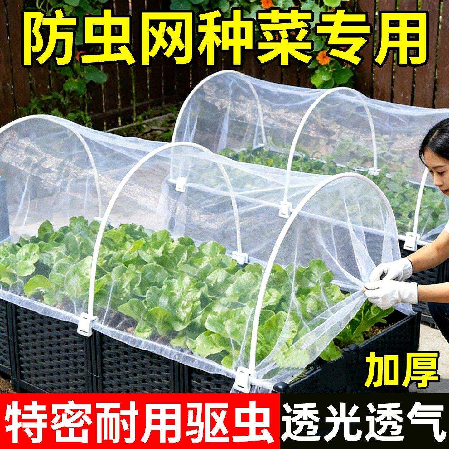 种菜防虫网拱棚支架菜园专用加厚纱网尼龙网大棚农用蔬菜种植防鸟