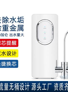 净水器家用净水机无罐直饮机大流量0添加大量过滤器厨下智能滤芯
