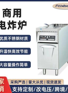 油炸锅商用电炸炉油条机炸串鸡腿电炸锅不锈钢加厚家用商用优选