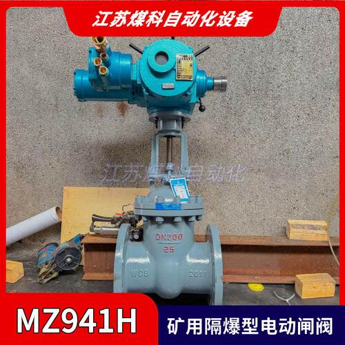矿用隔爆型电动闸阀Z9B41H-100CDN80带煤安证一体式调节型