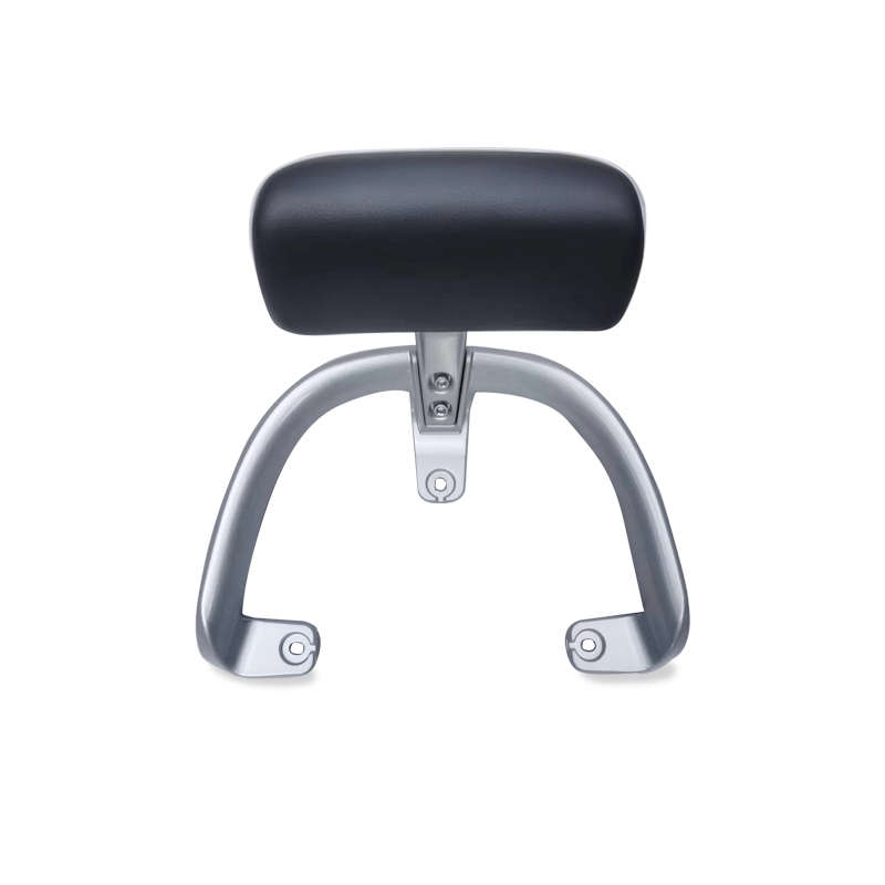 台铃电动车N1EB后靠背货架尾箱架尾翼TDT5246-2Z型号配件T500靠背