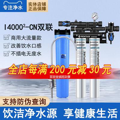 爱惠浦i20002 净水器 TWIN双联机餐饮奶茶咖啡店过滤 双联净水器