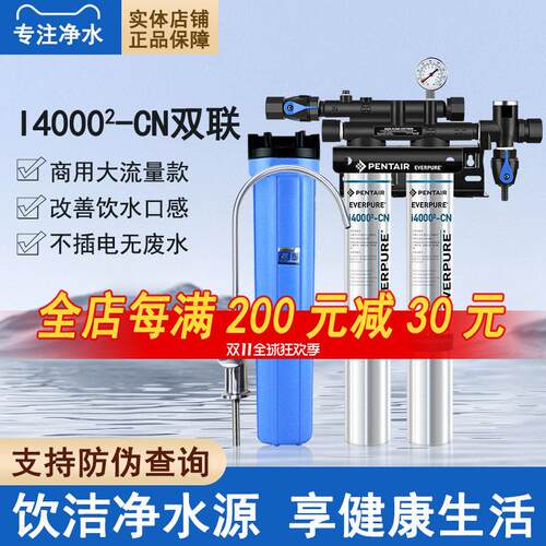 爱惠浦i20002 净水器 TWIN双联机餐饮奶茶咖啡店过滤 双联净水器