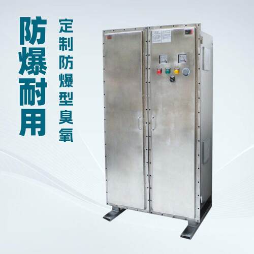 臭氧发生器防爆型臭氧设备防爆型臭氧发生器防爆臭氧发生器
