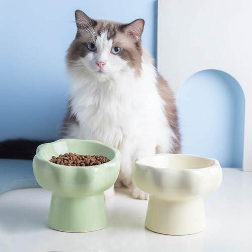 陶瓷猫碗狗碗宠物碗平口斜口猫盆碗高脚护颈猫食碗饭碗水粮碗