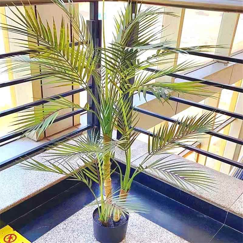 个性蕨类真植物盆贵栽手感针葵妃葵散尾葵88021葵树民宿装仿饰摆