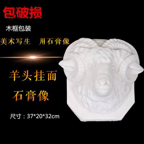 羊头半面石膏像素描写生静物模型摆件美术用品雕像石膏头像动物像