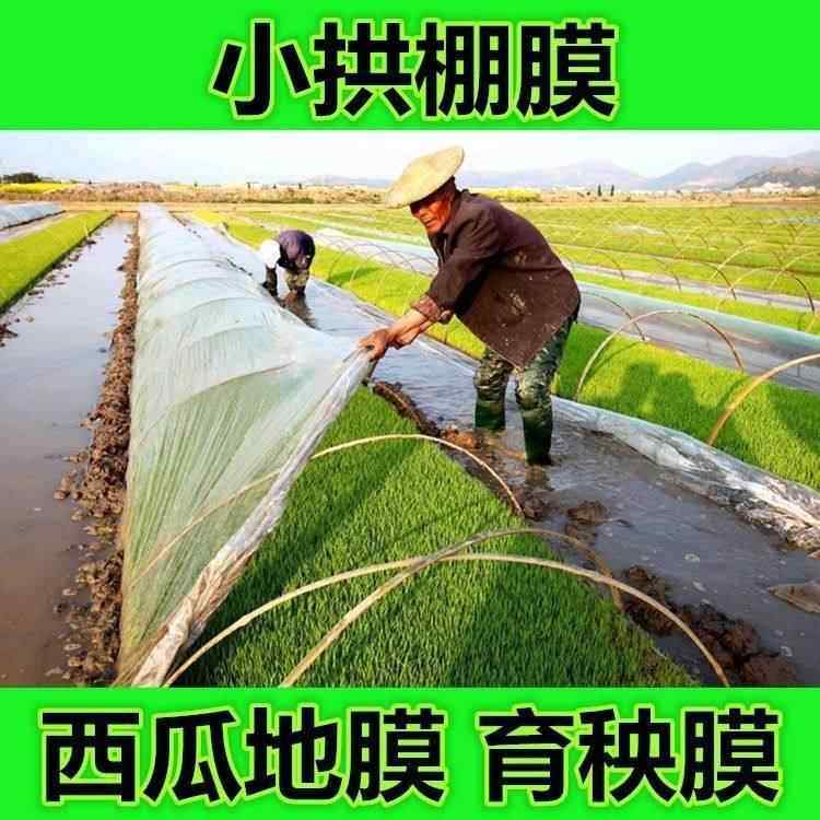 农用白色小拱棚专用膜大棚膜弓棚膜育苗育秧膜二膜薄膜防水防尘膜,农机/农具/农膜,农用薄膜,淘宝优惠券,粉丝福利购,淘宝优惠卷