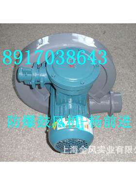 4kw防爆鼓风机 防爆中压鼓风机 防爆抽风机