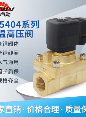 高压电磁阀5MPA高温电磁阀气阀水阀SY5404-04 06 08 2分3分220V