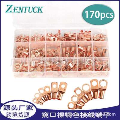 SC窥口裸端子170pcs盒装环形接线片蓄电池接线端子SC端子套装