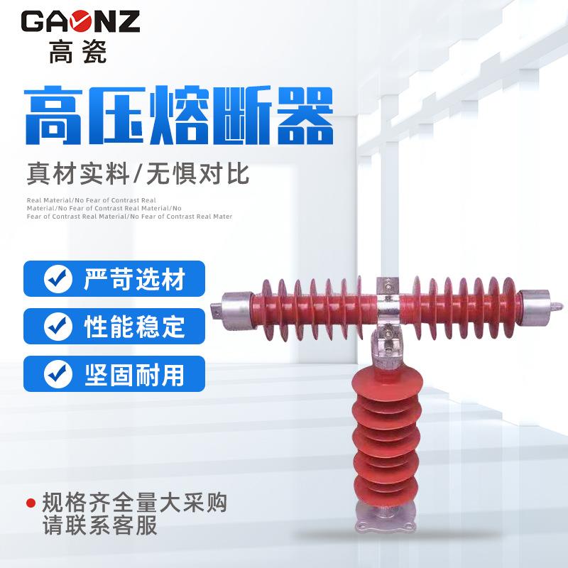 3KV断户外硅橡胶T型跌落式熔断器高压限流熔器HRXWO-PMS35(405)0.