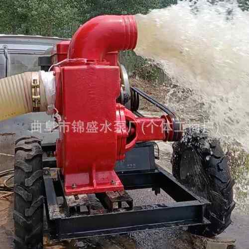 现货供应柴 6寸油抽RLU水泵灌溉离泵 小麦浇灌漫灌柴油机水心泵