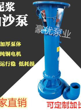 NL立式泥浆泵浮筒泥浆泵河道清淤污泥泵液下无堵塞耐磨泥浆泵抽沙
